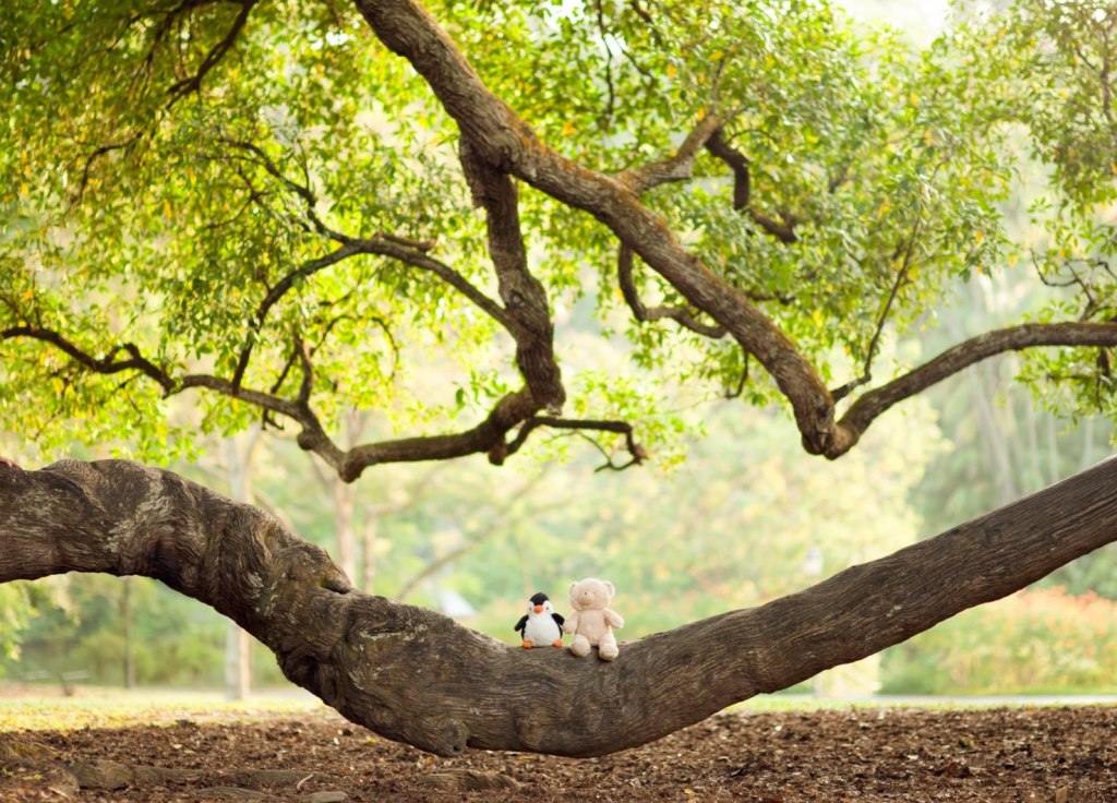 My last letter to&nbsp;you