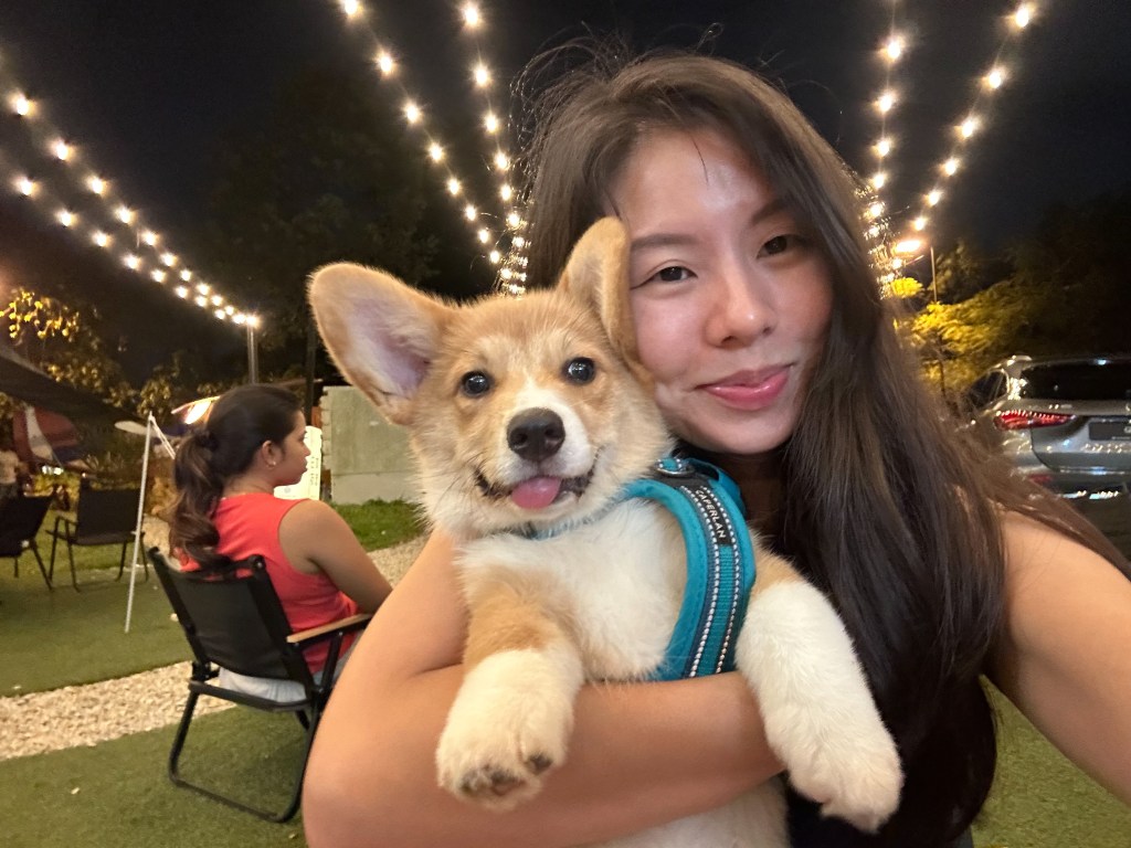 The cost of performative&nbsp;culture